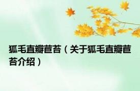 狐毛直瓣苣苔（关于狐毛直瓣苣苔介绍）