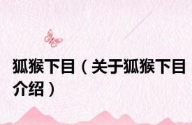 狐猴下目（关于狐猴下目介绍）