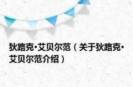狄路克·艾贝尔范（关于狄路克·艾贝尔范介绍）
