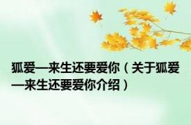 狐爱—来生还要爱你（关于狐爱—来生还要爱你介绍）