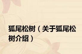 狐尾松树（关于狐尾松树介绍）