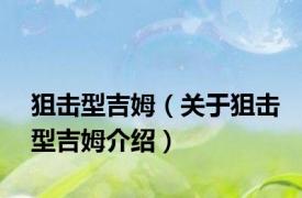 狙击型吉姆（关于狙击型吉姆介绍）