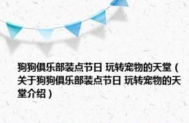 狗狗俱乐部装点节日 玩转宠物的天堂（关于狗狗俱乐部装点节日 玩转宠物的天堂介绍）