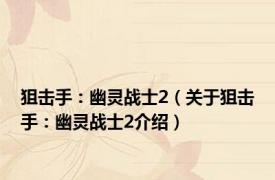 狙击手：幽灵战士2（关于狙击手：幽灵战士2介绍）