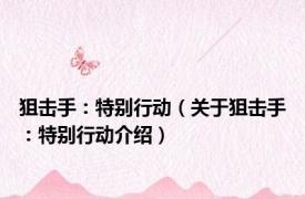 狙击手：特别行动（关于狙击手：特别行动介绍）