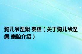 狗儿爷涅槃 秦腔（关于狗儿爷涅槃 秦腔介绍）