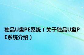 独品U盘PE系统（关于独品U盘PE系统介绍）