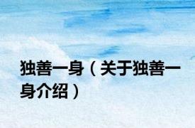 独善一身（关于独善一身介绍）