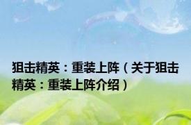 狙击精英：重装上阵（关于狙击精英：重装上阵介绍）