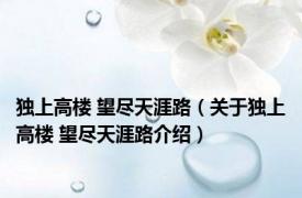 独上高楼 望尽天涯路（关于独上高楼 望尽天涯路介绍）