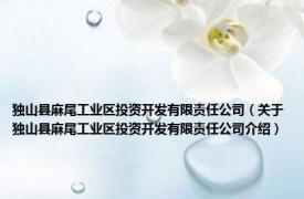 独山县麻尾工业区投资开发有限责任公司（关于独山县麻尾工业区投资开发有限责任公司介绍）