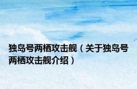 独岛号两栖攻击舰（关于独岛号两栖攻击舰介绍）