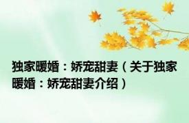 独家暖婚：娇宠甜妻（关于独家暖婚：娇宠甜妻介绍）