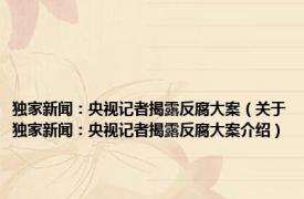 独家新闻：央视记者揭露反腐大案（关于独家新闻：央视记者揭露反腐大案介绍）