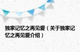 独家记忆之再见爱（关于独家记忆之再见爱介绍）