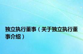 独立执行董事（关于独立执行董事介绍）