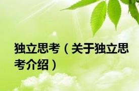 独立思考（关于独立思考介绍）
