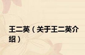 王二英（关于王二英介绍）