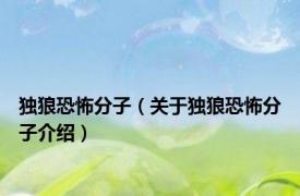独狼恐怖分子（关于独狼恐怖分子介绍）