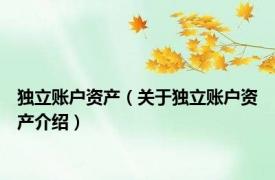 独立账户资产（关于独立账户资产介绍）