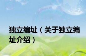 独立编址（关于独立编址介绍）