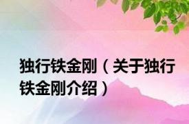 独行铁金刚（关于独行铁金刚介绍）