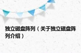 独立磁盘阵列（关于独立磁盘阵列介绍）