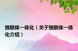 独联体一体化（关于独联体一体化介绍）