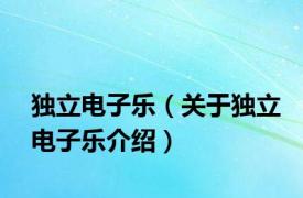 独立电子乐（关于独立电子乐介绍）