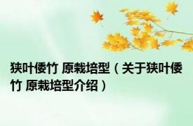 狭叶倭竹 原栽培型（关于狭叶倭竹 原栽培型介绍）