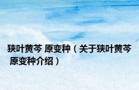 狭叶黄芩 原变种（关于狭叶黄芩 原变种介绍）