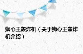 狮心王轰炸机（关于狮心王轰炸机介绍）