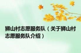 狮山村志愿服务队（关于狮山村志愿服务队介绍）