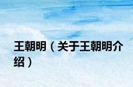 王朝明（关于王朝明介绍）