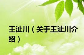 王沚川（关于王沚川介绍）