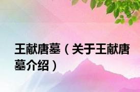 王献唐墓（关于王献唐墓介绍）