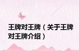 王牌对王牌（关于王牌对王牌介绍）