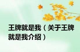 王牌就是我（关于王牌就是我介绍）