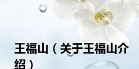 王福山（关于王福山介绍）