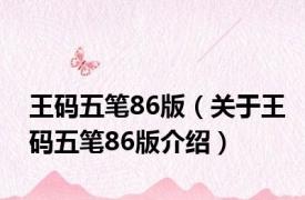 王码五笔86版（关于王码五笔86版介绍）