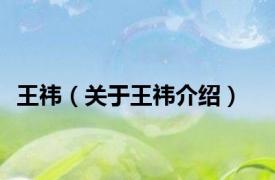 王祎（关于王祎介绍）