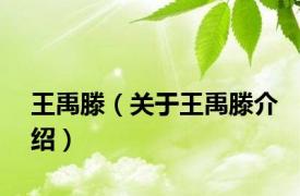 王禹滕（关于王禹滕介绍）