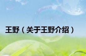 王野（关于王野介绍）