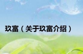 玖富（关于玖富介绍）