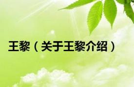 王黎（关于王黎介绍）