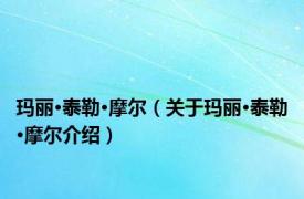 玛丽·泰勒·摩尔（关于玛丽·泰勒·摩尔介绍）
