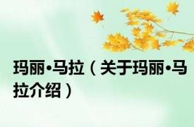 玛丽·马拉（关于玛丽·马拉介绍）
