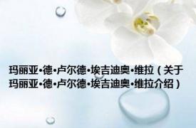 玛丽亚·德·卢尔德·埃吉迪奥·维拉（关于玛丽亚·德·卢尔德·埃吉迪奥·维拉介绍）