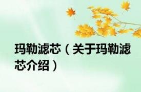 玛勒滤芯（关于玛勒滤芯介绍）