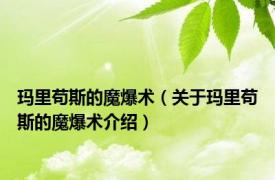 玛里苟斯的魔爆术（关于玛里苟斯的魔爆术介绍）